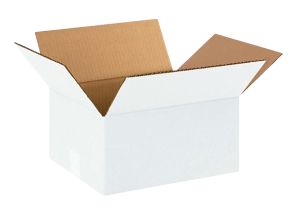 2-removebg-preview (1)